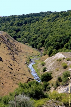 Primul defileu, sus de Racovăţ, în satul Gordineşti, Edineţ