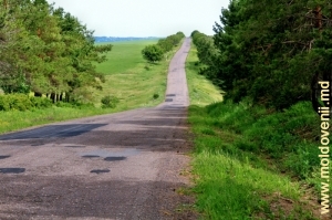 Drumurile raionului Făleşti