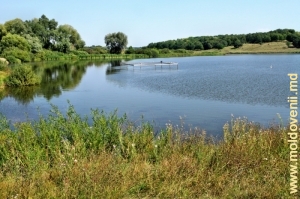 Lacul de acumulare de pe rîul Racovăţ din satul Corestăuţi, Ocniţa