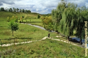 Afluentul Ciuhurului, Ciuhureţ (Ciuhurel), satul Şofrîncani, Edineţ