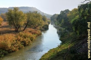 Река Рэут в городе Орхей