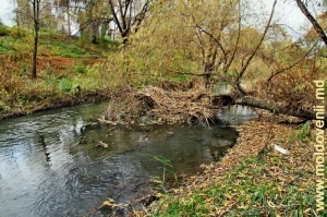 Река Бык в Кишиневе