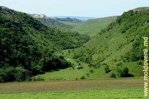 Общий план Володенского ущелья. Вид с левого берега реки Раковэц