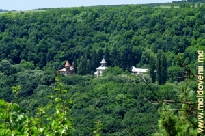 Вид на монастырь Рудь от памятника «Трей кручь», Сорокский р-он, ближний план