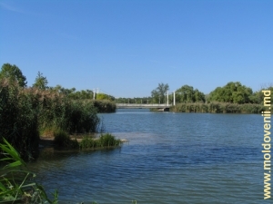 Озеро в парке Скулянка, Кишинев