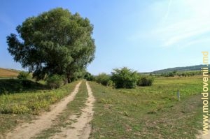 Valea rîului Lăpușna în preajma satului Iurceni, Nisporeni 