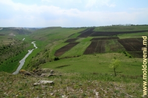 Rîul Racovăţ în defileul de lîngă satul Buzdugeni, Edineţ