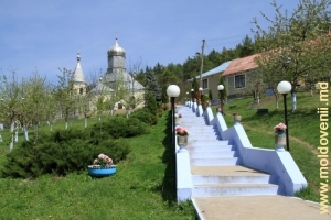Mănăstirea Cosăuţi, aprilie 2012