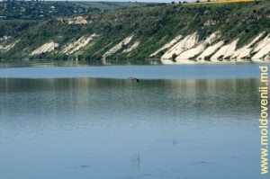 Malul abrupt deasupra lacului de acumulare din satul Molovata Veche