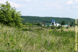 Vedere spre Mănăstirea Frumoasa –primăvara, 2011