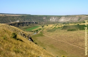 Вид в юго-западном направлении на долину Реута у села Бутучень, дальний план