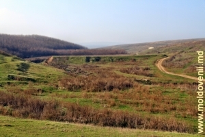 Vedere de pe pod spre valea rîului Cuşmirca şi barajul fostului lac de acumulare