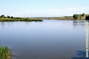 Lacul de acumulare de pe Racovăţ din satul Hădărăuţi, Ocniţa