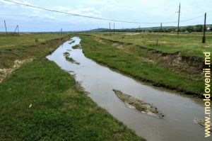 Rîul Cogîlnic în preajma satului Iordanovca, Basarabeasca