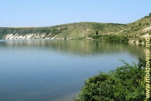 Malurile lacului de acumulare din satul Molovata Veche