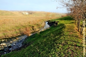 Rîul Cuşmirca în apropiere de satul Lelina