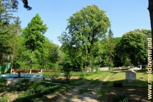Двор монастыря Хыржаука, весна 2011
