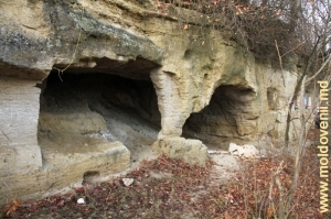 Ниши в скале у скальной церкви монастыря Жапка