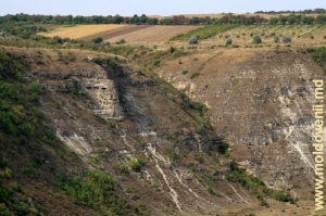 Вид на вход в ущелье в западном склоне скального массива над селом Бутучень