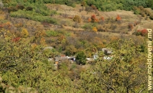 Vedere spre marginea satului Vălcineţ, Călăraşi