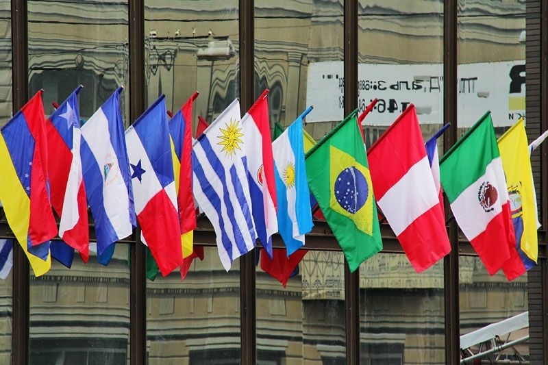 Южная группа стран. Политика Латинской Америки. Бразилия международные отношения. Экономическое сотрудничество в Латинской Америке. Международные организации США.