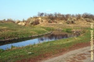 Rîul Bîc lîngă satul Roşcani, Anenii Noi