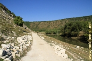 Дорога вдоль Реута в его долине за селом Требужень