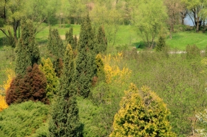 Вид на парк вблизи озера