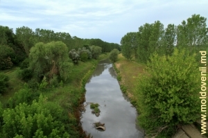 Река Бык у села Гура Быкулуй