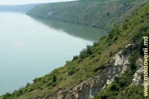 Vedere spre lacul de acumulare din defileul Mărcăuţi