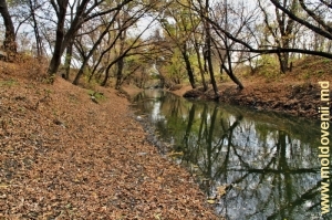 Река Бык в Кишиневе