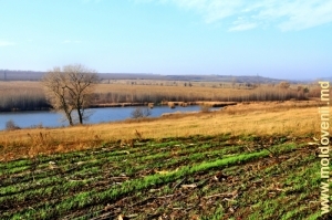 Lacul de acumulare de pe rîul Cuşmirca, în apropiere de satul Ţipordei