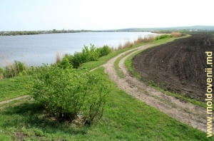 Lacul de acumulare de pe rîul Cubolta din satul Putineşti, Floreşti