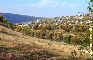 Răutul în preajma satului Trebujeni, Orhei