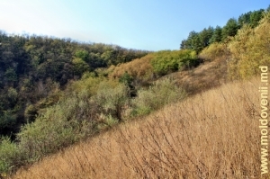 Вид на Рудый яр с вершины его левого склона