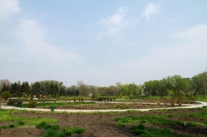 Панорама центральной части парка