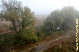 Река Бык у села Буковэц, Страшень. Октябрь, раннее утро