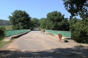 Мост через Рэут у Трибужен