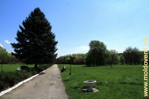 Ботанический сад Кишинева, апрель 2014 