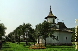 Церковь Святого Креста в Пэтрэуць