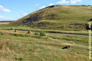 Lanţurile de toltre măreţe, sus de rîul Ciuhur, satul Pociumbeni, Rîşcani