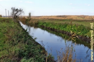 Река Бык между Цынцэренами и Анений Ной