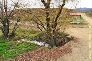 Небольшой приток Быка между селами Вэлчинец и Петичень
