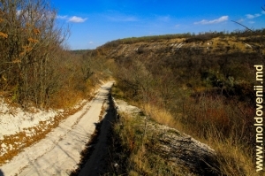 Дорога вдоль ущелья с обнажениями сливного кремня над долиной реки Косэрэу