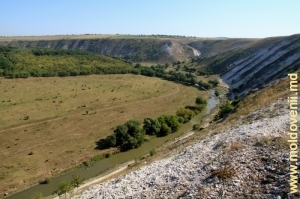 Общий вид долины Реута за селом Требужень со склона на окраине села, средний план