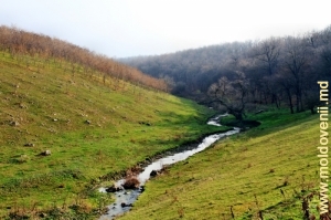 Rîul Cuşmirca la intrarea lui în defileul dintre satele Lelina şi Climăuţii de Jos