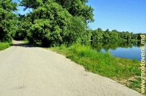 Дорога на берегу водохранилища реки Ботна у с. Улму, Яловены