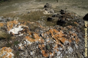 Покрытые лишайником скалы на вершине правого склона ущелья