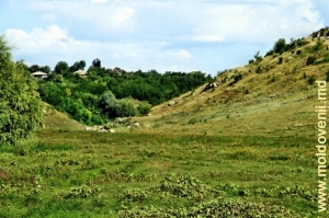 Defileul de sus de Racovăţ din apropierea satului Halahora de Jos, Briceni