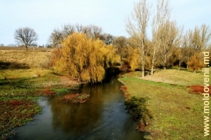 Rîul Racovăţ în apropiere de satul Brînzeni, Edineţ